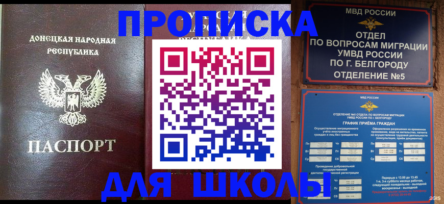 прописка для работы в Истре